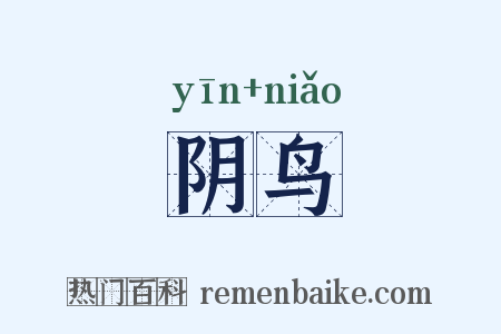 阴鸟是什么意思的图片